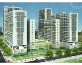 Thi công kết cấu  phần ngầm cho hạng mục 1488    				căn hộ, cửa hàng  và 01 tầng hầm, lô 2 dự án khu                                                              phức hợp dân cư, văn hóa  và thể thao Tân Thắng, HCM